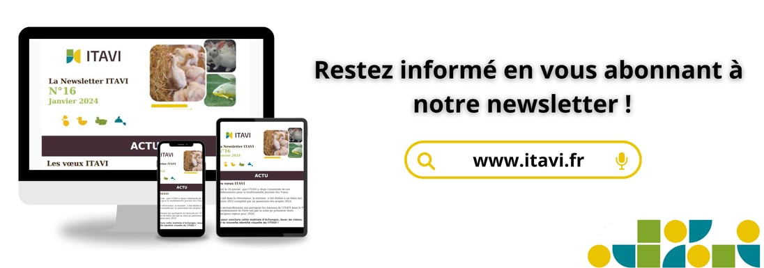 newsletter